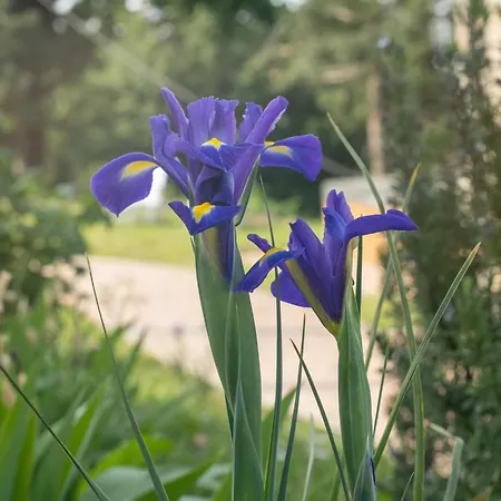 Lantgård Il Casale-toscoemiliano Camugnano