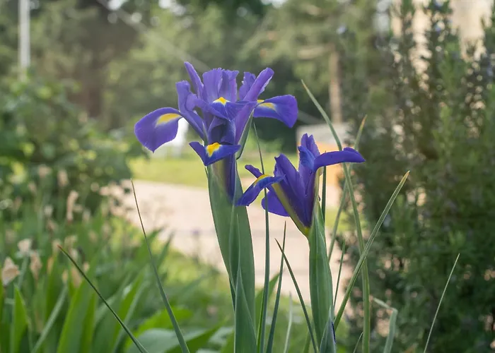בית חווה Il Casale-toscoemiliano Camugnano