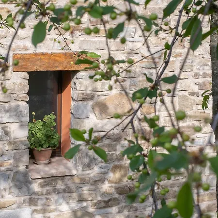 Il Casale-toscoemiliano